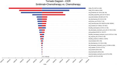 Cost-Effectiveness Analysis of Sintilimab Combined with Chemotherapy Versus Chemotherapy Alone as the First-Line Treatment for Advanced Esophageal Cancer